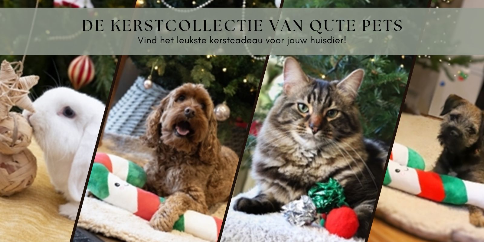 De kerstcollectie van Qute Pets