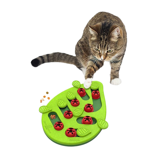 Nina Ottosson - Cat puzzle&play buggin out groen - Level 2